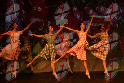 SHOW_00559.jpg